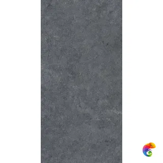Роверелла DL501320R Темно-серый матовый 119.5x60