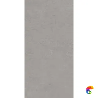 Про Фьюче DD593420R Серый матовый 119.5x60