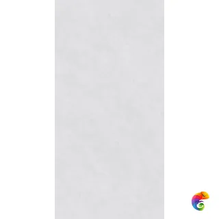 Glazed ZA-D12602  полированный 120x60