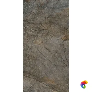Сильвер Рут DL502920R Серый матовый 119.5x60