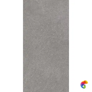 Роверелла DL501220R Пепельный матовый 119.5x60