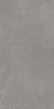 Роверелла DL501220R Пепельный матовый 119.5x60