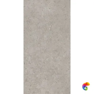 Риккарди SG519920R Светло-серый матовый 119.5x60