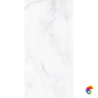 Glazed ZA-D12607  полированный 120x60