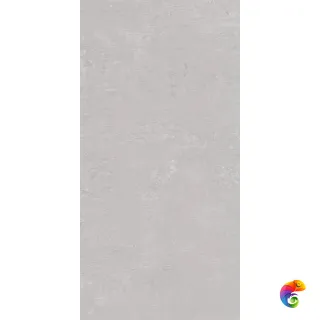 Про Фьюче DD593120R Светло-серый матовый 119.5x60