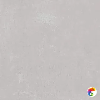 Про Фьюче DD640320R Светло-серый матовый 60x60