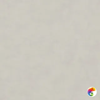 Про Чементо DD641520R Светло-серый матовый 60x60