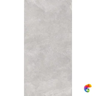 Про Стоун DD503820R Светло-серый матовый 119.5x60