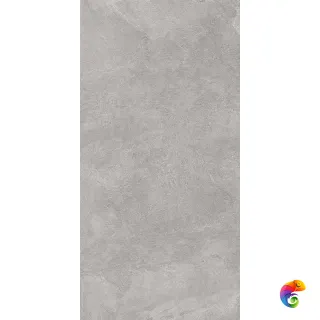 Про Стоун DD500220R Серый матовый 119.5x60