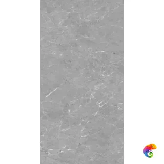 Grey Williams Grey полированный 120x60