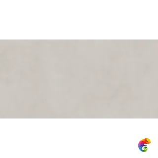 Про Чементо DD504520R Светло-серый матовый 119.5x60