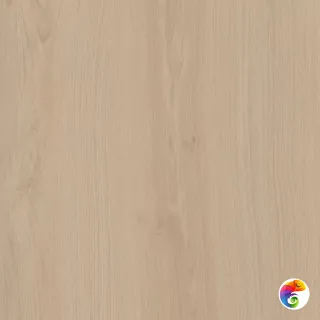 Альберони SG643420R Светло-бежевый матовый 60x60