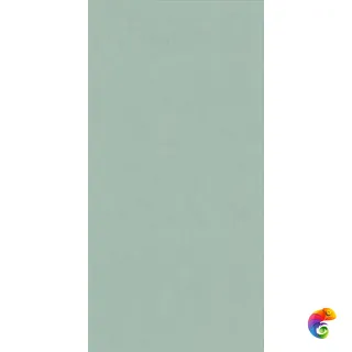 WIDE&STYLE MINI MINT RET 60х120