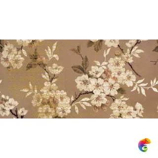 W&S D+ CP4 SAKURA    120X240