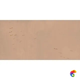 W&S D+  CP4 COUNTRY B  120X240