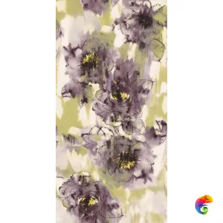 W&S D+ GOUACHE SAGE  120x240