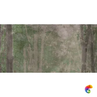 W&S D CP4 WOODS B  120X240