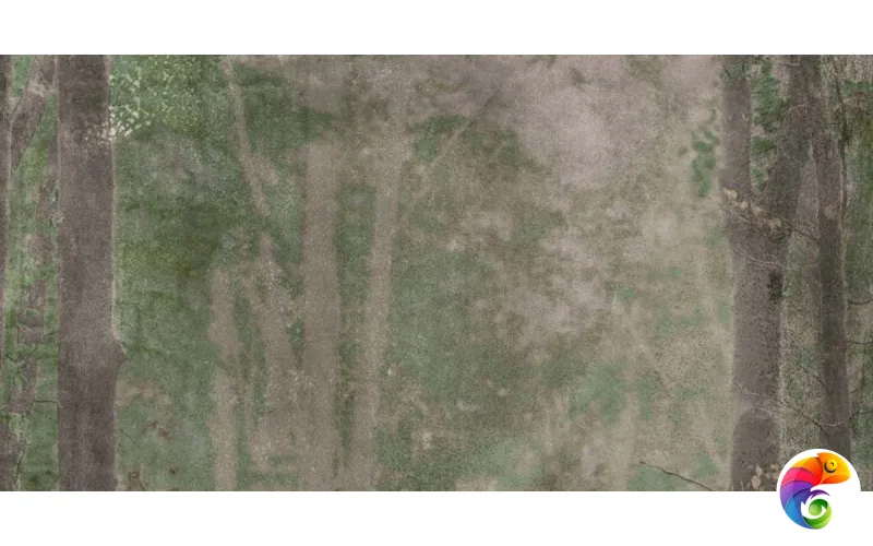 W&S D CP4 WOODS B  120X240