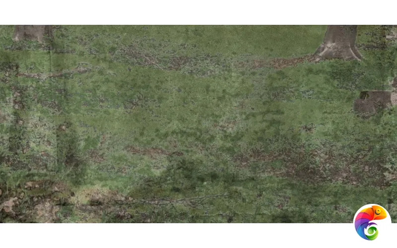 W&S D CP4 WOODS B  120X240