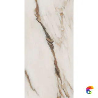 SNS.SIGN.CAL. VENA ORO NAT RET 60X120