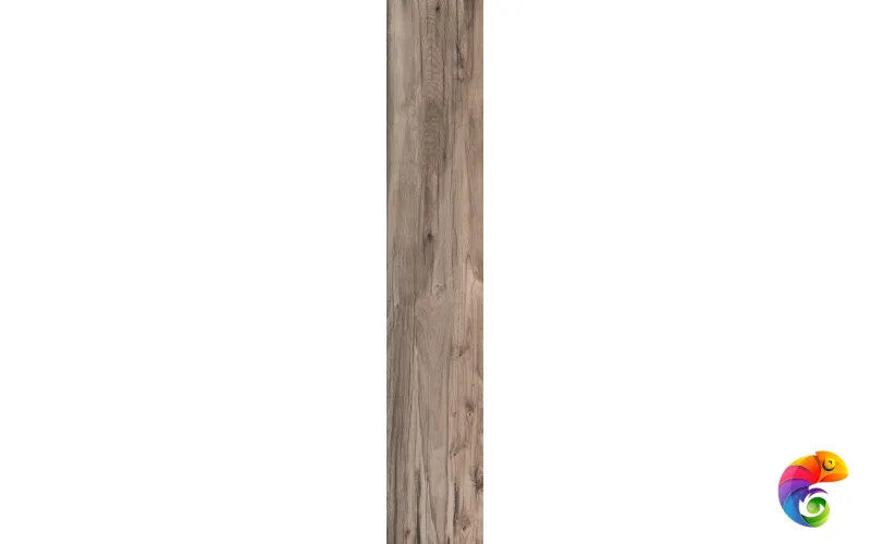 Плитка напольная DOLPHIN OAK AGED RETT.	20X120