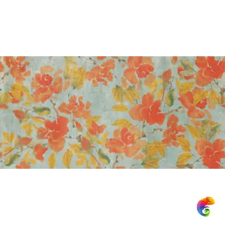 W&S D BRUSH TANGERINE   60X120