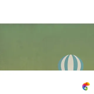 W&S D CP4 BALLOON B  120X240