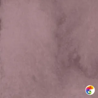 PTR.COLORS BLUSH 10X10