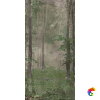 W&S D WOODS B 120x240