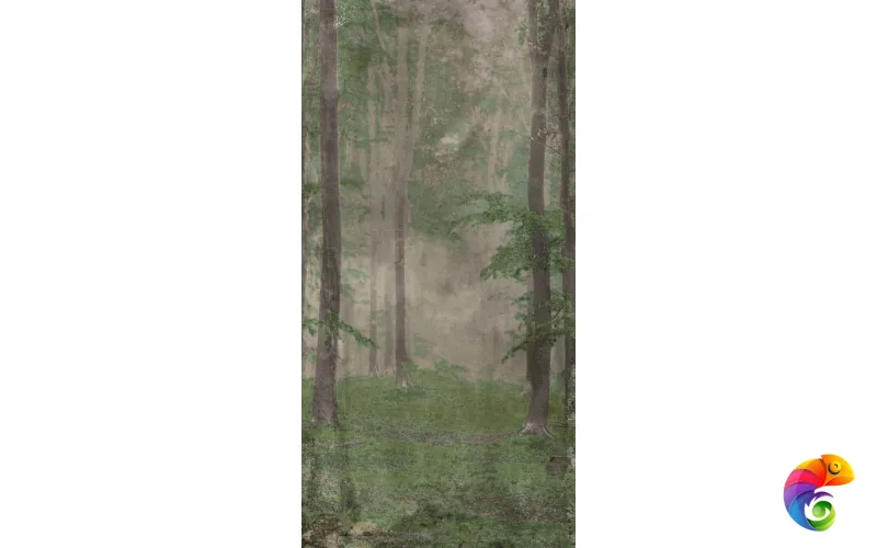 W&S D WOODS B 120x240
