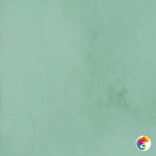 PTR.COLORS SAGE 10X10