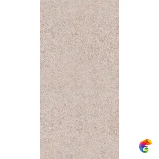 PTR.STN.RE CURVE.WARM NAT R60X120