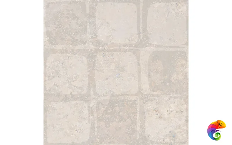 PTR.STN.RE WET NAT R60X60