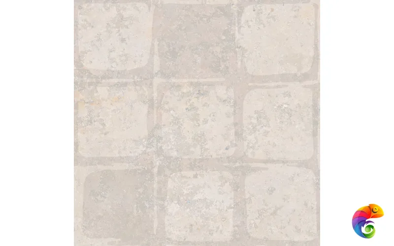 PTR.STN.RE WET NAT R60X60