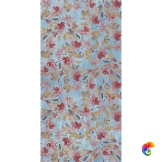 W&S D+ BRUSH VIOLET   120x240