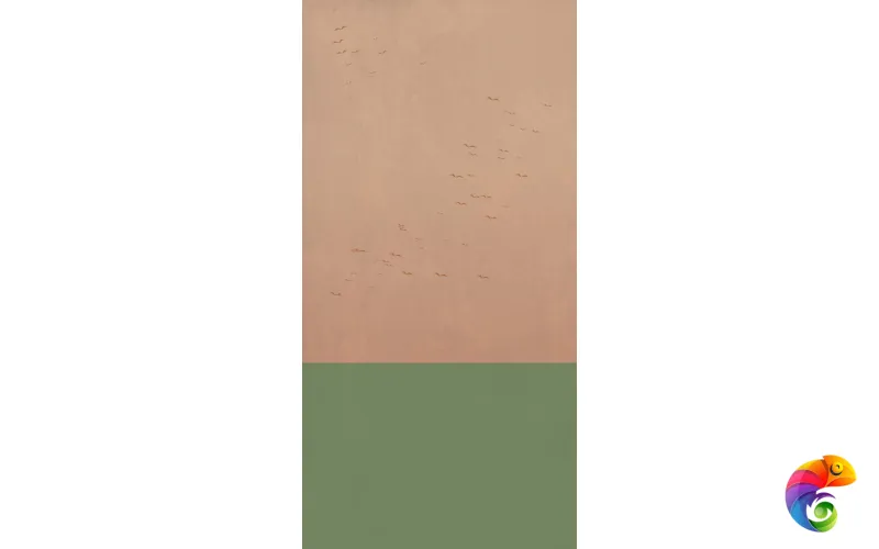 W&S D+ COUNTRY A   120x240