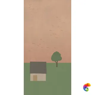 W&S D+ COUNTRY B 120x240