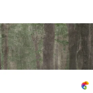 W&S D CP4 WOODS A 120x240