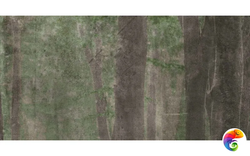 W&S D CP4 WOODS A 120x240