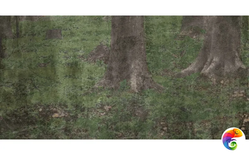 W&S D CP4 WOODS A 120x240