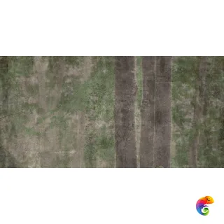 W&S D CP4 WOODS C 120X240