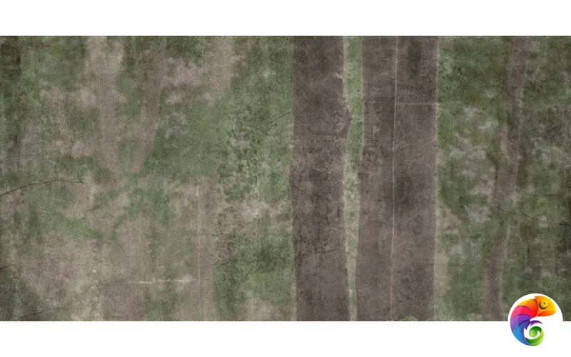 W&S D CP4 WOODS C 120X240