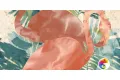W&S D CP4 TROPICAL FLAMINGO 120X240