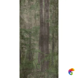 W&S D WOODS C 120x240