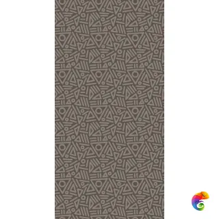 W&S D+ TRIBE SMOKE 160X320