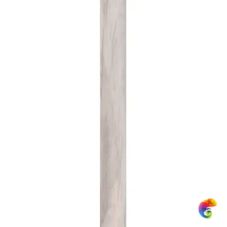 Плитка напольная DOLPHIN MOON RETT.	20X170