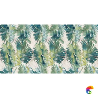 W&S D PALMS GREEN  60X120