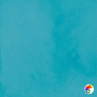 PTR.COLORS TURQUOISE 10X10