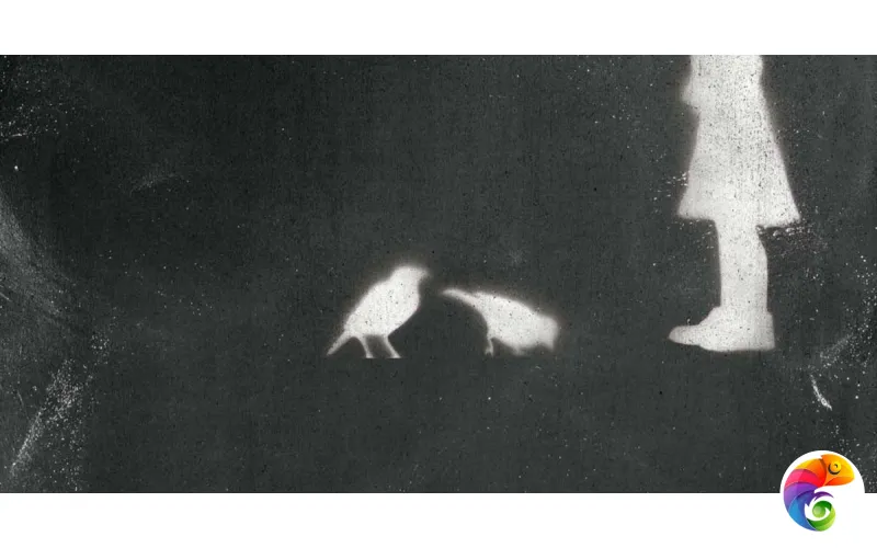 W&S D+ CP4 STREET B  BLACK  120X240