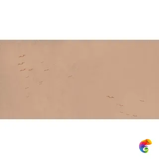 W&S D CP4 COUNTRY A 120X240